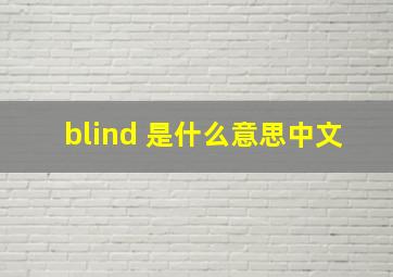 blind 是什么意思中文